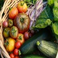 Harvest supper