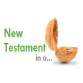 New Testament in a nutshell